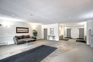 Photo 5: 303 838 19 Avenue SW in Calgary: Lower Mount Royal Apartment for sale : MLS®# A1210390