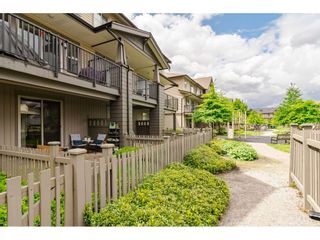 Photo 24: 97 9525 204 Street in Langley: Walnut Grove Townhouse for sale in "TIME" : MLS®# R2458220