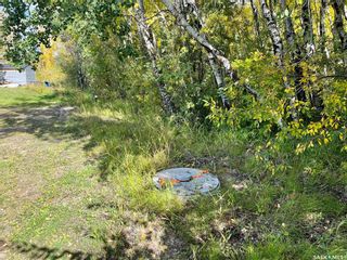 Photo 3: 101 Turtle Crescent in Turtle Lake: Lot/Land for sale : MLS®# SK945832