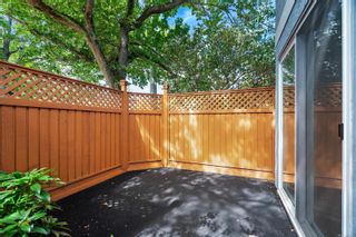 Photo 38: 91 Eberts St in Victoria: Vi Fairfield West House for sale : MLS®# 915226