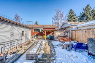 Photo 42: 227 Parkwood Place SE in Calgary: Parkland Detached for sale : MLS®# A1182044