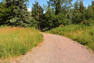 Photo 4: 1270 MORGAN Road in Smithers: Smithers - Rural Land for sale in "MORGAN MEADOWS" (Smithers And Area)  : MLS®# R2714118
