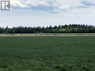 Photo 4: Township Road 40-0 in Rural Clearwater County: Vacant Land for sale : MLS®# A2139175