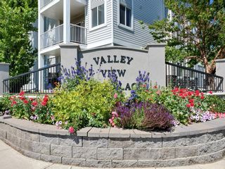 Photo 2: 301 3301 Valleyview Park SE in Calgary: Dover Apartment for sale : MLS®# A1191824