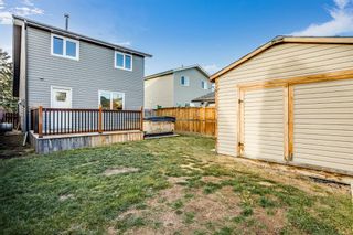 Photo 2: 16 Abalone Crescent NE in Calgary: Abbeydale Detached for sale : MLS®# A1164706