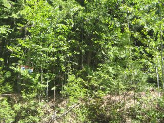 Photo 1: Lot 23 Vickers Trail in Anglemont: Land Only for sale : MLS®# 10011652