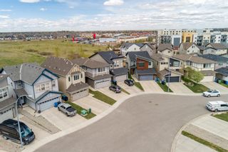 Photo 47: 247 Walden Mews SE in Calgary: Walden Detached for sale : MLS®# A1218851