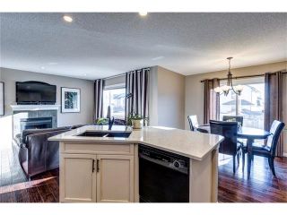 Photo 10: 41 ROYAL BIRCH Crescent NW in Calgary: Royal Oak House for sale : MLS®# C4041001