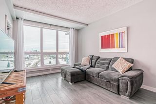 Photo 7: 1313 8710 Horton Road SW in Calgary: Haysboro Apartment for sale : MLS®# A2014731