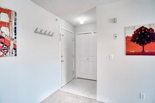Photo 8: 2408 6224 17 Avenue SE in Calgary: Red Carpet Apartment for sale : MLS®# A2032660
