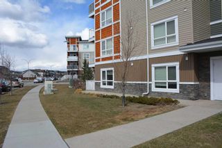 Photo 25: 3102 302 Skyview Ranch Drive NE in Calgary: Skyview Ranch Apartment for sale : MLS®# A2118945