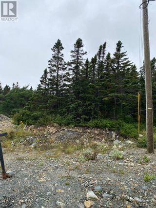 Photo 5: 52 Micnoel Place in Pouch Cove: Vacant Land for sale : MLS®# 1265723