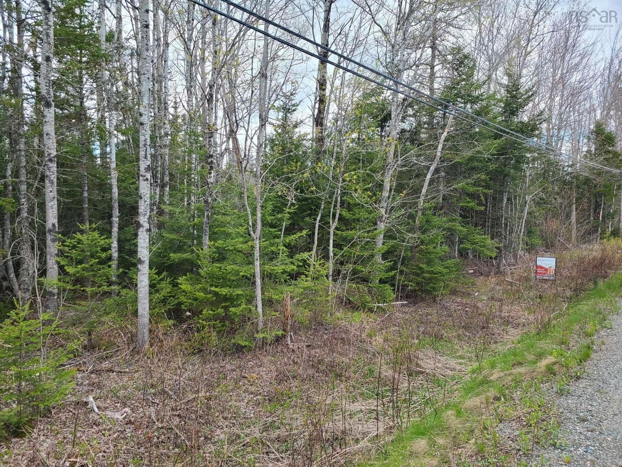Main Photo: Belmont Road in Belmont: 104-Truro / Bible Hill Vacant Land for sale (Northern Region)  : MLS®# 202309405