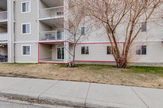 Photo 17: 2114 6224 17 Avenue SE in Calgary: Red Carpet Apartment for sale : MLS®# A2126709