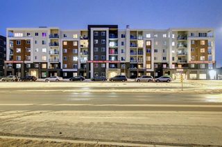 Photo 1: 1516 4641 128 Avenue NE in Calgary: Skyview Ranch Apartment for sale : MLS®# A1192519