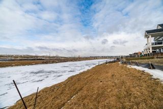 Photo 37: 1179 Bayside Drive SW: Airdrie Detached for sale : MLS®# A1174947