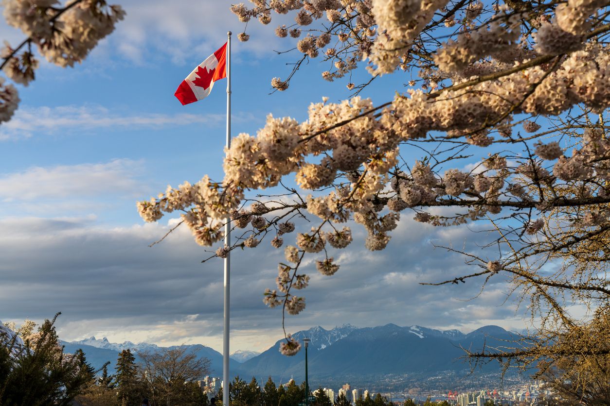 Canada Rent Report March 2024 | 加拿大各大城市最新租房信息 - 2024年3月