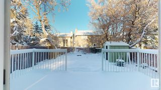 Photo 10: 5514 38B Avenue in Edmonton: Zone 29 House Half Duplex for sale : MLS®# E4322816