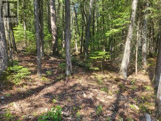 Photo 31: Lot 1 31M-209 Water Street in Meldrum Bay: Vacant Land for sale : MLS®# 2117093
