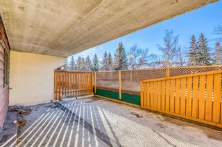 Photo 7: 103 5204 Dalton Drive NW in Calgary: Dalhousie Apartment for sale : MLS®# A2013085