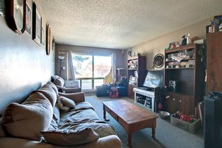 Photo 4: 124 Abingdon Crescent NE in Calgary: Abbeydale Detached for sale : MLS®# A1217184