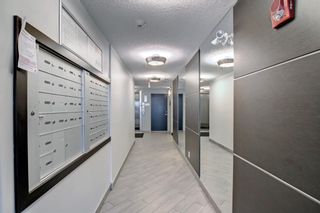 Photo 30: 312 836 Royal Avenue SW in Calgary: Lower Mount Royal Apartment for sale : MLS®# A2029000