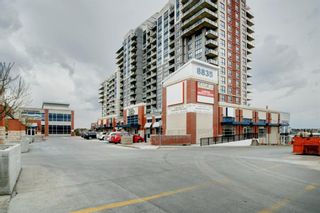 Photo 36: 2112 8710 Horton Road SW in Calgary: Haysboro Apartment for sale : MLS®# A1215879