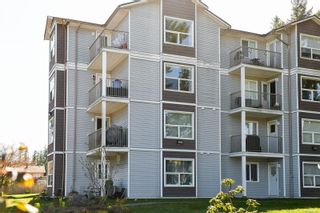 Photo 4: 309 282 Birch St in Campbell River: CR Campbell River Central Condo for sale : MLS®# 960898