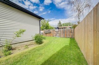 Photo 20: 72 Castleridge Close NE in Calgary: Castleridge Detached for sale : MLS®# A2139990