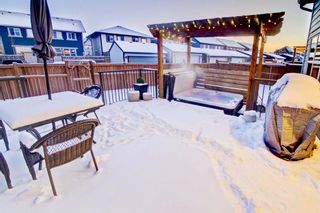 Photo 42: 127 Masters Rise SE in Calgary: Mahogany Detached for sale : MLS®# A1186669