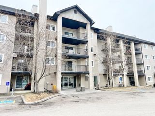 Photo 38: 3207 4975 130 Avenue SE in Calgary: McKenzie Towne Apartment for sale : MLS®# A1210394