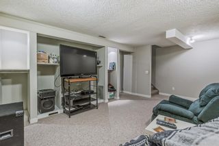 Photo 23: 41 Bermuda Lane NW in Calgary: Beddington Heights Row/Townhouse for sale : MLS®# A2046980