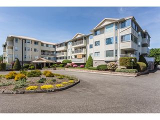Photo 1: 213 8725 ELM Drive in Chilliwack: Chilliwack E Young-Yale Condo for sale in "Elmwood Terrace" : MLS®# R2640393