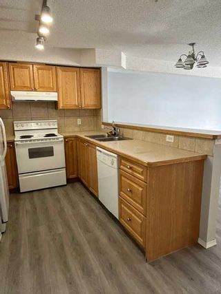 Photo 13: 118 92 Saddletree Court NE in Calgary: Saddle Ridge Apartment for sale : MLS®# A2121337