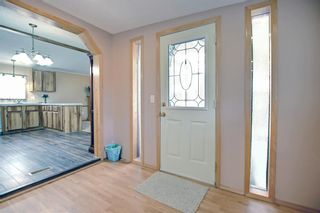 Photo 5: 3123 Burroughs Manor NE in Calgary: Monterey Park Mobile for sale : MLS®# A1240315