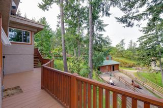Photo 48: 4700 Kerryview Dr in Saanich: SW Prospect Lake House for sale (Saanich West)  : MLS®# 906166