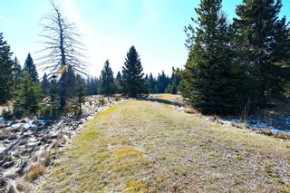 Photo 21: 20.02 Acres +/- NW of Cochrane in Rural Rocky View County: Rural Rocky View MD Land for sale : MLS®# A1065950