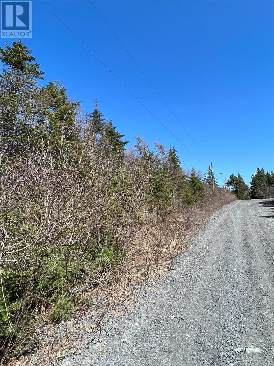 Main Photo: Lot 49 Cottage Place in Whitbourne: Vacant Land for sale : MLS®# 1258385