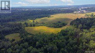 Photo 10: 000 Route 170 in Oak Bay: Vacant Land for sale : MLS®# NB077920
