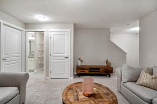 Photo 29: 208 Masters Avenue SE in Calgary: Mahogany Semi Detached (Half Duplex) for sale : MLS®# A2013274