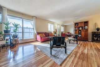 Photo 7: 301 305 25 Avenue SW in Calgary: Mission Apartment for sale : MLS®# A2109893