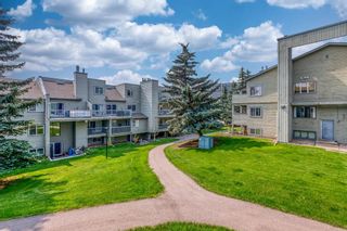 Photo 11: 4278 90 Glamis Drive SW in Calgary: Glamorgan Apartment for sale : MLS®# A1131659
