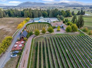 Photo 1: 5290 OLUND Road in Abbotsford: Bradner Agri-Business for sale in "SEASIDE PEARL FARMGATE WINERY" : MLS®# C8054389