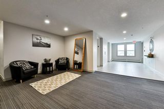 Photo 5: 307 2300 Evanston Square NW in Calgary: Evanston Apartment for sale : MLS®# A1210048