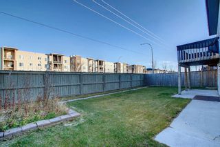 Photo 39: 58 Canals Circle SW: Airdrie Detached for sale : MLS®# A1158303