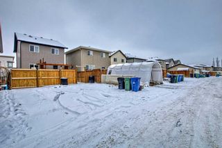Photo 41: 114 Walden Crescent SE in Calgary: Walden Detached for sale : MLS®# A2105187