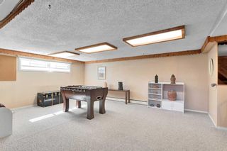 Photo 23: 224 Cardiff Drive NW in Calgary: Cambrian Heights Detached for sale : MLS®# A2123483