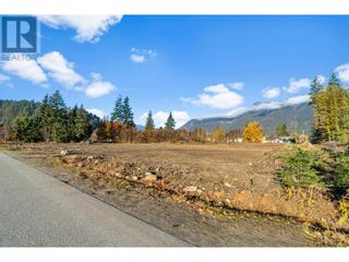 Photo 10: 222 Temple Street in Sicamous: Vacant Land for sale : MLS®# 10288595