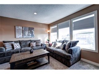 Photo 19: 105 CHAPARRAL RAVINE View SE in Calgary: Chaparral House for sale : MLS®# C4111705