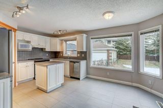 Photo 4: 9991 Scurfield Drive NW in Calgary: Scenic Acres Detached for sale : MLS®# A2013158